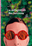 Déflagration des buissons (La)